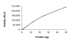 Sino Biological&nbsp;Recombinant Human EGFR Protein (d746-750 T790M L792F, GST Tag), Active